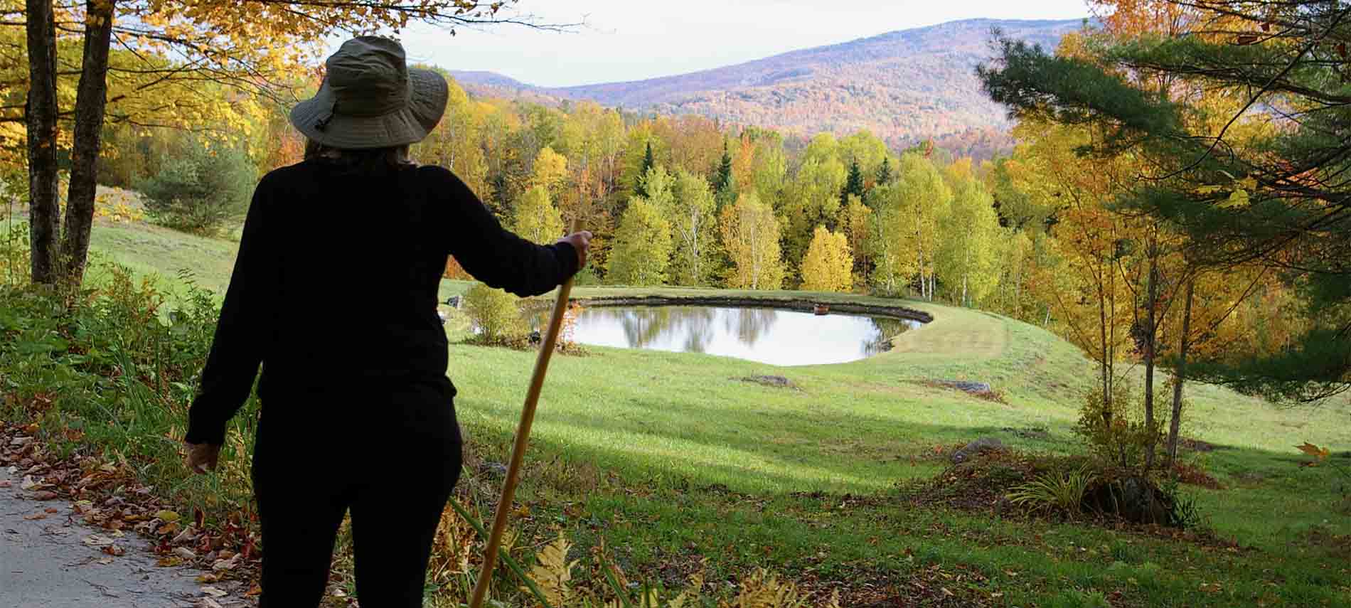 A woman with her walking stick gazing upon a small pond in a field adjascent to hiking path.